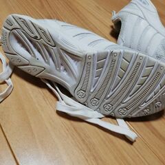 瞬足24.5cm どうせすぐ履けなくなる子供の内履きなんて買うのがバカバカしいという方への画像