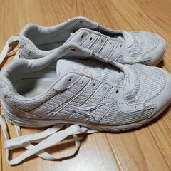 瞬足24.5cm どうせすぐ履けなくなる子供の内履きなんて買うのがバカバカしいという方への画像