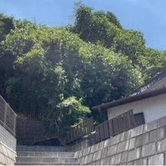 神奈川県横浜市保土ヶ谷区上菅田町 #152 不動産0円物件 - 土地販売/土地売買