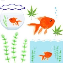 増えすぎた水草ください｡