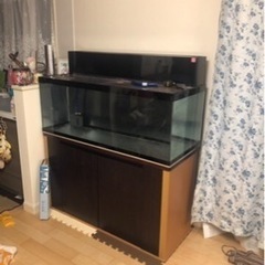 120cmアクリル水槽と水槽台のセットです。