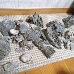 ADA 青龍石 アクアリウム 水槽レイアウト用品