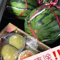 旬の夏のフルーツ産地直送です！
