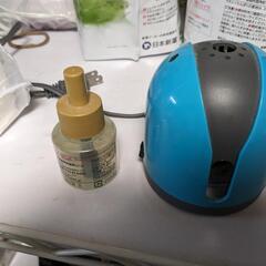 近日処分予定　アースノーマットの画像