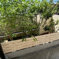 🉐お庭のリフォーム🏠新築外構工事🉐カード払い - 宇城市