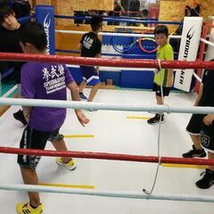 8月☀️無料体験🥊親子参加可👨👦👧👩幼年ボクシング🥊の画像
