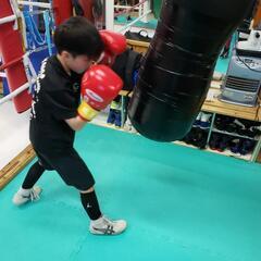 8月☀️無料体験🥊親子参加可👨👦👧👩幼年ボクシング🥊の画像