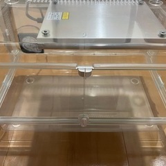 爬虫類用ゲージ 決まりましたの画像