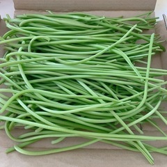 きんぴらや煮物に☆無農薬 さつま芋の茎  700ｇ