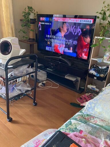 大型液晶テレビ差し上げます