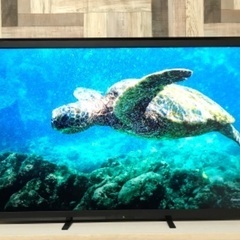 即日受渡❣️録画機能付き三菱50型液晶テレビ20W高音質スピーカー搭載31500円