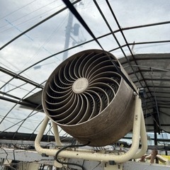 循環送風機、農業、ハウス
