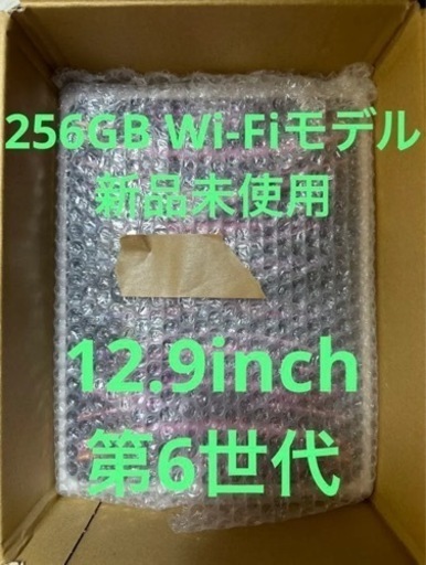 iPad Pro第6世代256GBWi-Fiモデル