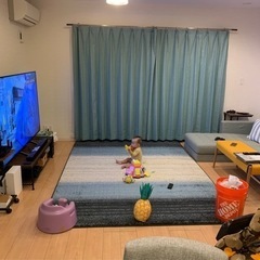 ニトリ　ラグ　