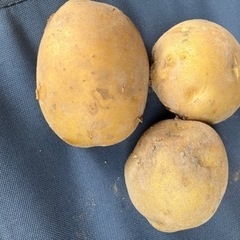 訳ありじゃがいもの画像