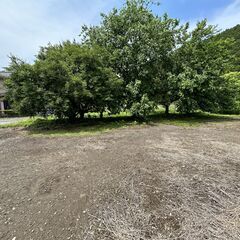 登米市津山町横山　売地　80万円 - 不動産