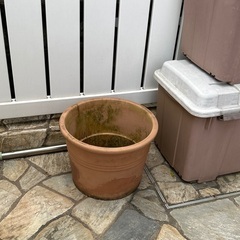 ①家中の鉢植え、植物持って行ってほしいです。の画像