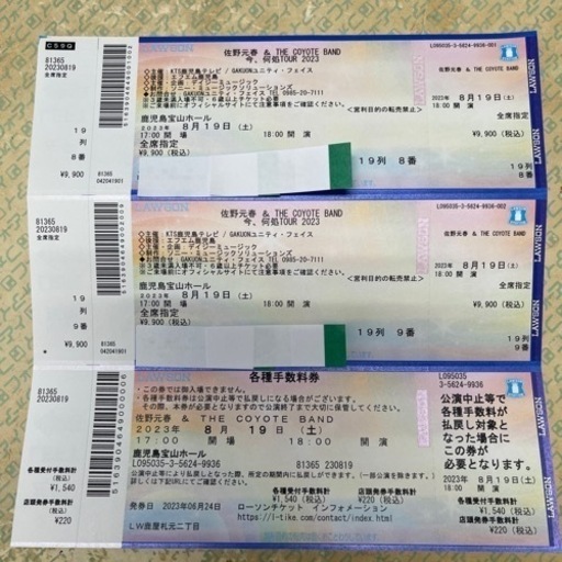 佐野元春　ライブチケット　2023/8/19 18:00