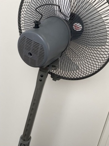 ナショナル扇風機 D0tHtObVsAEwYVh.jpg