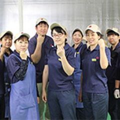 未経験OK！年平均￥50万賞与あり！交通費支給！【清水区】倉庫内作業・軽作業の画像