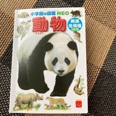 動物 絵本