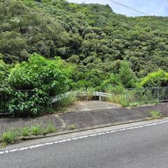広川町下津木の山林。接道幅員6メートル。