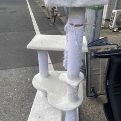 本日中　キャットタワー引き取って頂ける方宜しくお願い致します。