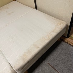 クィーンサイズベットの画像