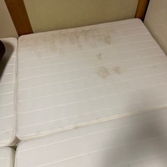 クィーンサイズベットの画像