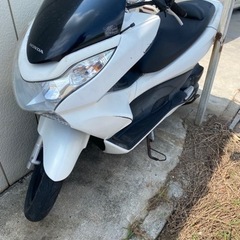 ms専用