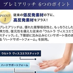 トゥルースリーパー　プレミアリッチ セミダブルの画像