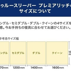 トゥルースリーパー　プレミアリッチ セミダブルの画像