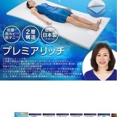 トゥルースリーパー　プレミアリッチ セミダブルの画像