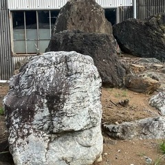 大石の画像