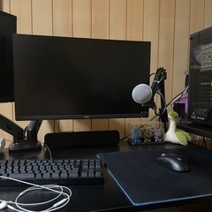 Crazyraccoon コラボpc一式