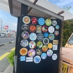 上原メダカ🐢　ミジンコ購入で爆食エサプレゼント‼️ − 愛知県