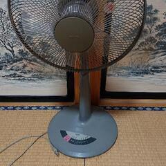 決まりました！扇風機