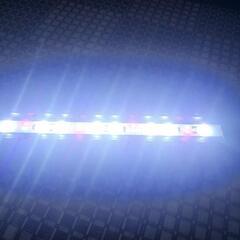 FLAT LEDSS KOTOBUKIの画像