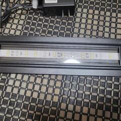 FLAT LEDSS KOTOBUKIの画像