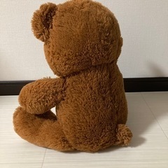 🐻 ぬいぐるみの画像