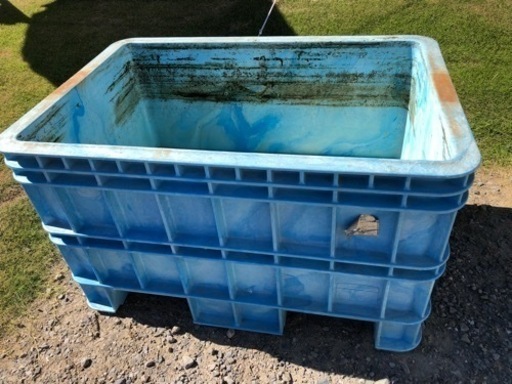 ダイライト　大きい　タライ　プール