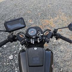 【お話中】HONDA　NAVI110の画像