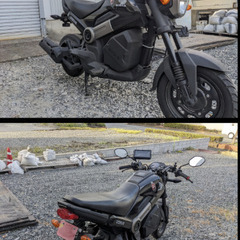 【お話中】HONDA　NAVI110の画像