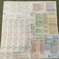 未使用 京阪グループ株主ご優待カード 1セット ひらかたパークプール入園券など 有効期限:2024年1月10日 (プールは23年9月3日)迄の画像