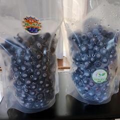 【埼玉県蓮田市産】冷凍ブルーベリー　500g詰め　販売中!!