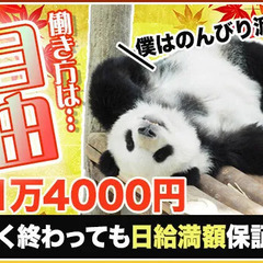 「お金に興味ない人は見ないでください。正直、時間の無駄です。」 株式会社SDF 錦糸町の画像