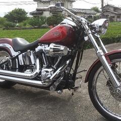 Harley Davidson 2008年式 FXSTC