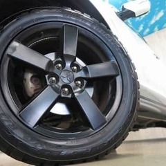 三菱　アウトランダーが入りました！！の画像