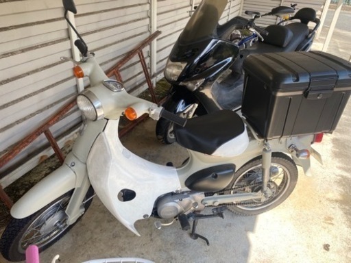 購入者決定　リトルカブ　AA01  奈良県宇陀市