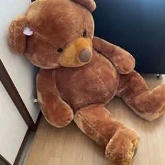 大クマです